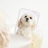 imageOUAI Fur Bb Pet Shampoo Mercer Street Scent  Dog Shampoo and Coat Wash for Hydrating Cleansing and Adding Shine  Pet Supplies by OUAI 16 Fl Oz
