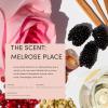imageOUAI Melrose Place Eau de Parfum Set  Elegant Womens Perfume for Everyday Wear  Fresh Floral Scent Notes of Champagne Bergamot ampamp Rose with Hints of Cedarwood ampamp Lychee 2 Count 034 Oz17 Oz