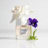 imageOUAI North Bondi Eau de Parfum  Elegant Womens Perfume for Everyday Wear  Fresh Floral Scent has Notes of Lemon Jasmine and Bergamot with Delicate Hints of Violet and White Musk 17 OzRue St Honor