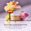 imageOUAI Scalp ampamp Body Scrub Melrose Place  Exfoliating Body Scrub with Sugar ampamp Coconut Oil Blend for Smooth Moisturized Skin  Gentle Scalp Exfoliator for Removing Product Build Up 88 OzMelrose Place