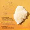 imageOUAI Scalp ampamp Body Scrub Melrose Place  Exfoliating Body Scrub with Sugar ampamp Coconut Oil Blend for Smooth Moisturized Skin  Gentle Scalp Exfoliator for Removing Product Build Up 88 OzSt Barts