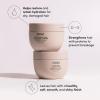 imageOUAI Anti Frizz Hair Treatment Bundle  Includes Anti Frizz Crme  Fine to Medium Treatment Masque 2 Count 6 Oz 8 Oz