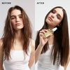 image:imageOUAI Hair Oil Full Size amp Travel Size  Heat Protectant Serum amp Smoothing Treatment  Ama Galanga Root Baobab amp Borage Oils  Frizz Control Shine Boost 450F Heat Shield 15 oz  045 oz 2 Count2 Count Pack of 1